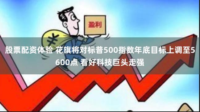 股票配资体验 花旗将对标普500指数年底目标上调至5600点 看好科技巨头走强