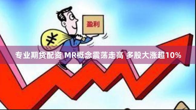 专业期货配资 MR概念震荡走高 多股大涨超10%