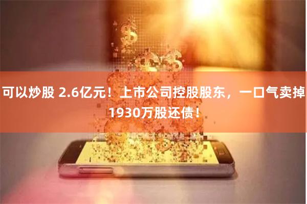 可以炒股 2.6亿元！上市公司控股股东，一口气卖掉1930万股还债！