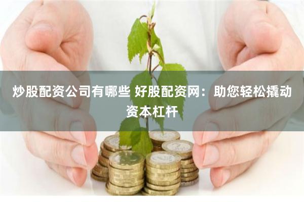 炒股配资公司有哪些 好股配资网：助您轻松撬动资本杠杆